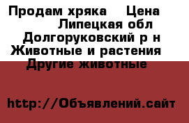 Продам хряка  › Цена ­ 20 000 - Липецкая обл., Долгоруковский р-н Животные и растения » Другие животные   